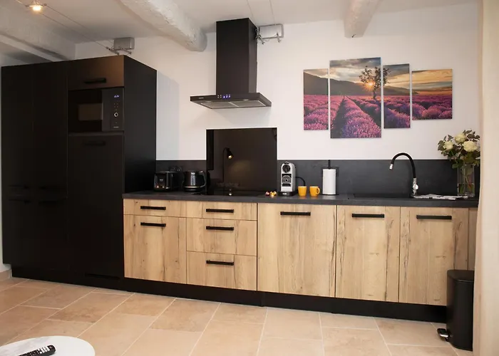 Apartment And Du Chateau-Arnoux-Saint-Auban